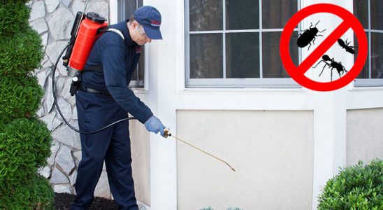 Safranbolu Bit İlaçlama böcek ilaçlama ve haşere kontrolü — ilaclama-tr.com
